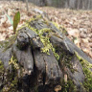 Meet your Posher, Avery